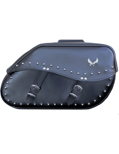 Saddlebags Custom. Free Spirit Eagle XL.